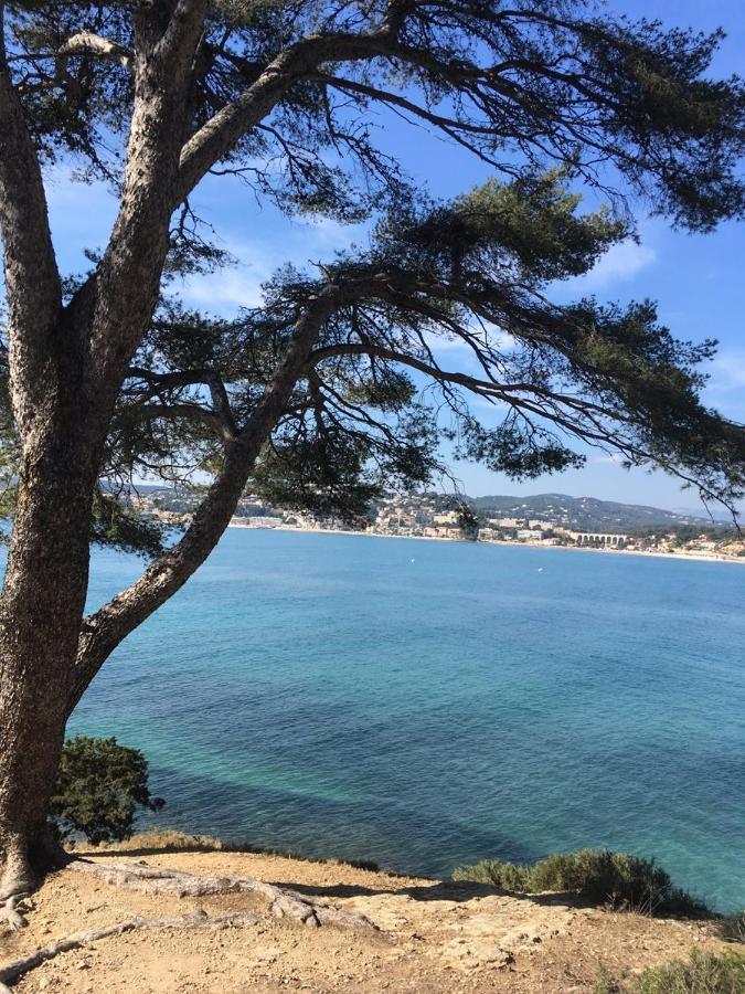 Les Galets De Sanary - Vue Mer Exteriör bild